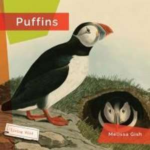 Puffins de Melissa Gish