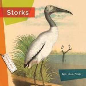 Storks de Melissa Gish