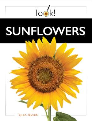 Sunflowers de J F Quick