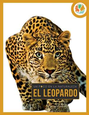 Leopardo de Julie And David Lavender
