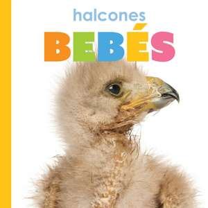 Halcones Bebes de Meg Greve