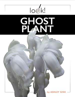 Ghost Plant de Ashley Gish