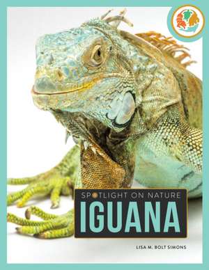 Iguana de Lisa M Bolt Simons