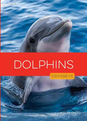 Dolphins de Jason Skog
