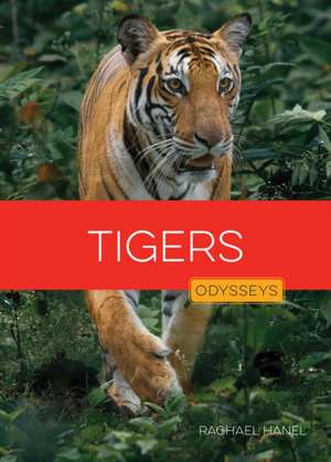 Tigers de Rachael Hanel