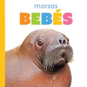 Morsas Bebés de Kim Thompson