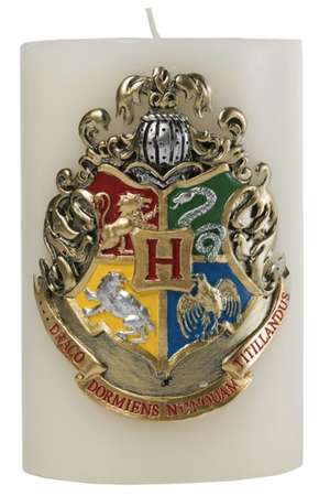 Insight Editions: Harry Potter Hogwarts Sculpted Insignia Ca de Insight Editions