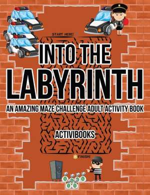 Into the Labyrinth de Activibooks