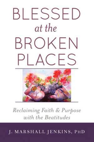 Blessed at the Broken Places de J. Marshall Jenkins Phd