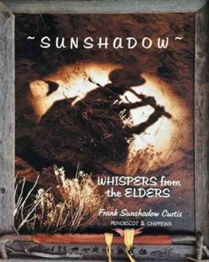 Sunshadow de S. Curtis, Frank