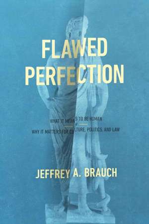 Flawed Perfection de Jeffrey A. Brauch