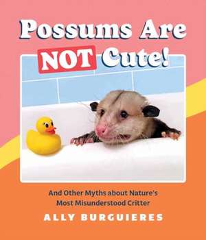 Possums Are Not Cute!: And Other Myths about Nature's Most Misunderstood Critter de Ally Burguieres