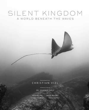 Silent Kingom de Insight Editions