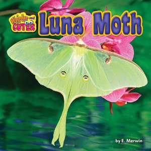 Luna Moth de E. Merwin