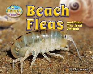 Beach Fleas and Other Tiny Sand Animals de Ellen Lawrence