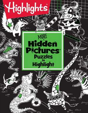 More Hidden Pictures Puzzles to Highlight de Highlights