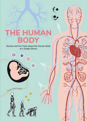 The Human Body Mysteries Explained de Cristina Peraboni