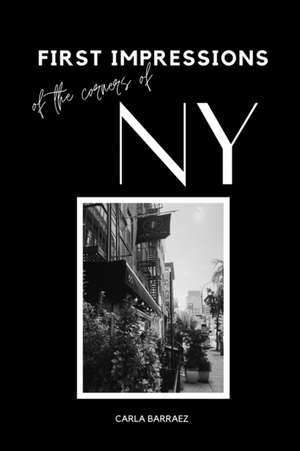 First Impressions of the Corners of New York de Carla Barraez