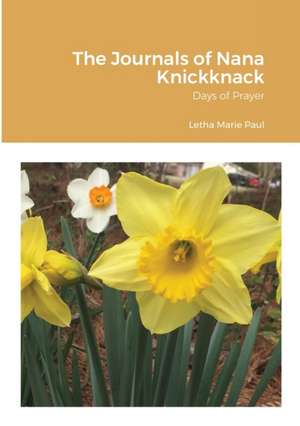 The Journals of Nana Knickknack, Volume 4 de Letha Marie Paul