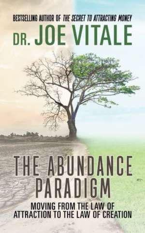 The Abundance Paradigm de Joe Vitale