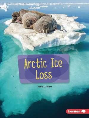 Arctic Ice Loss de Abbe L Starr