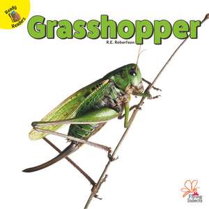 Grasshopper de Robertson