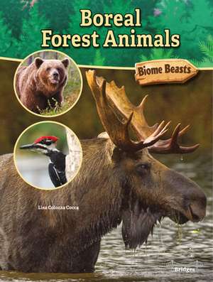 Boreal Forest Animals de Lisa Colozza Cocca