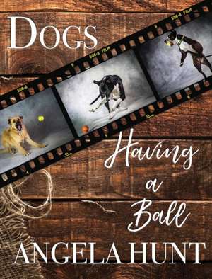 Dogs Having a Ball de Angela Hunt