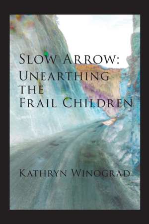 Slow Arrow de Kathryn Winograd