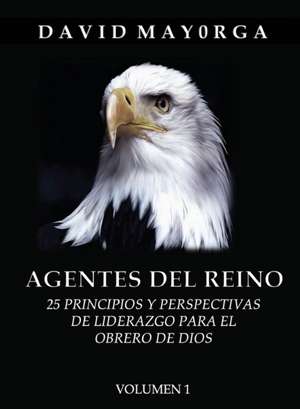 AGENTES DEL REINO VOLUMEN 1 de David Mayorga