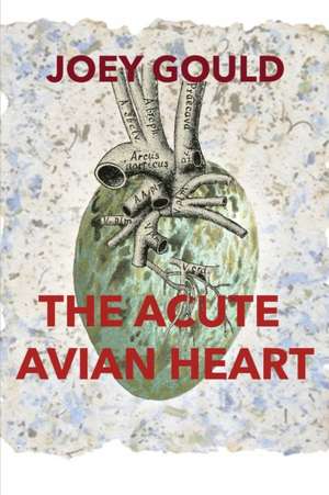 The Acute Avian Heart de Joey Gould