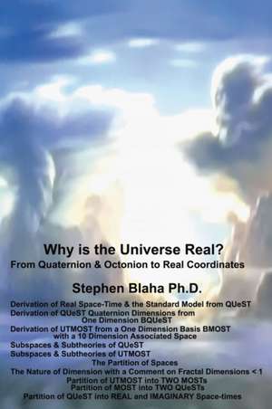 Why is the Universe Real? From Quaternion & Octonion to Real Coordinates de Stephen Blaha