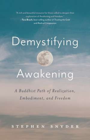 Demystifying Awakening de Stephen Snyder