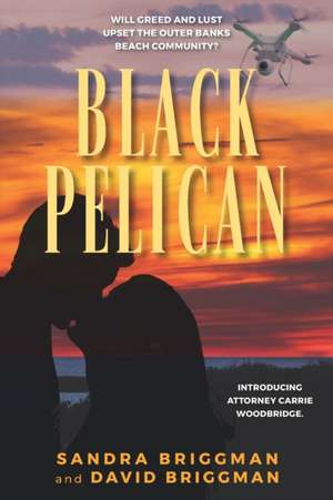 Black Pelican de David Briggman