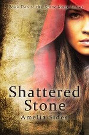 Shattered Stone de Amelia G Sides