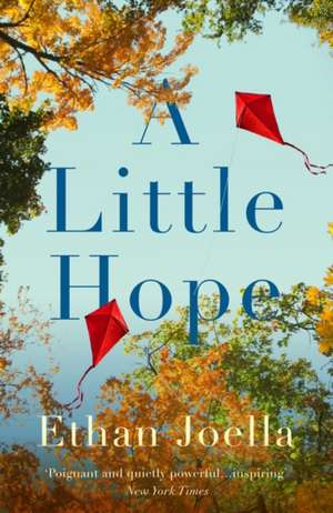 A Little Hope de Ethan Joella