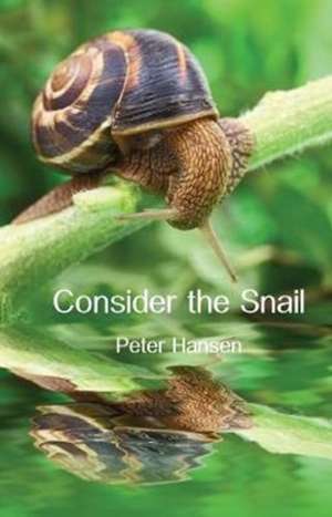 Consider the Snail de Peter Hansen