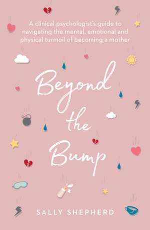 Beyond the Bump de Sally Shepherd