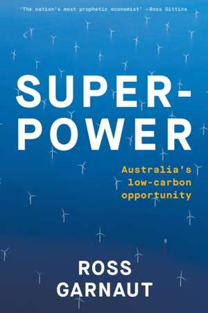 Superpower de Ross Garnaut