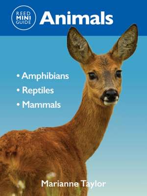 Reed Mini Guide: Animals de Mariane Taylor