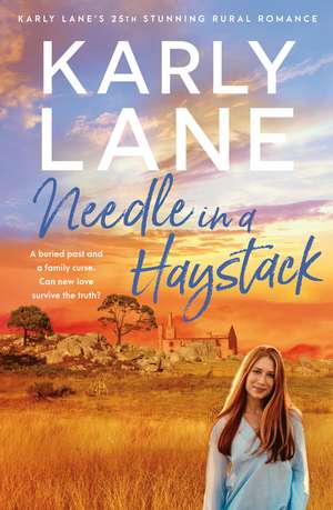 Needle in a Haystack de Karly Lane