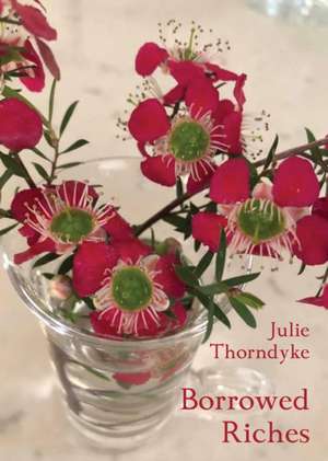 Borrowed Riches de Julie Thorndyke