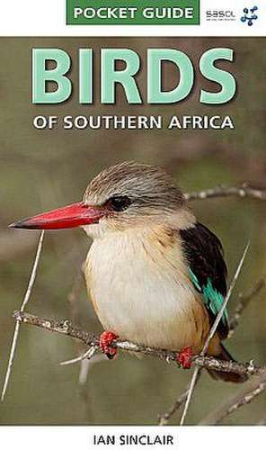 Birds of Southern Africa: Pocket Guide de Ian Sinclair