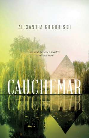 Cauchemar de Alexandra Grigorescu