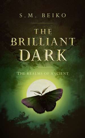 The Brilliant Dark de S M Beiko