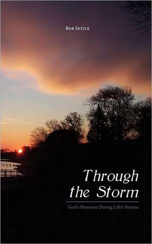 Through the Storm de Bob Settle