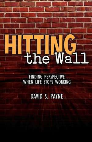 Hitting the Wall de David S. Payne