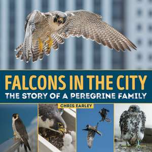 Falcons in the City: The Story of a Peregine Family de Chris Earley