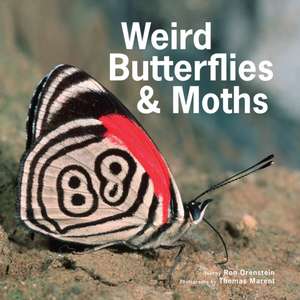 Weird Butterflies and Moths de Ronald Orenstein