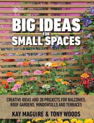 Big Ideas for Small Spaces de Kay Maguire